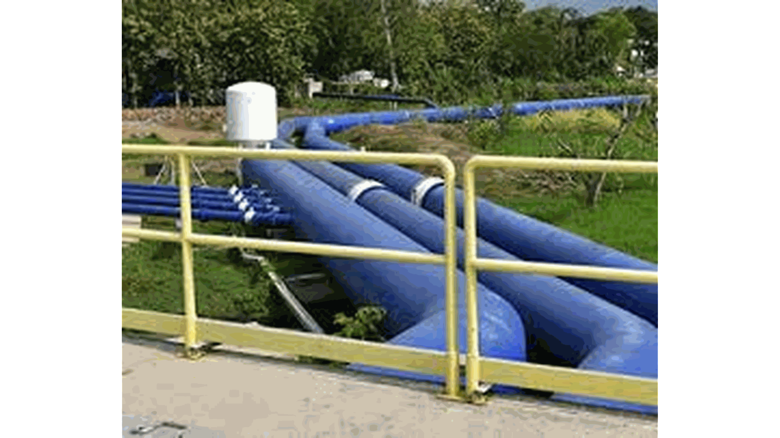 Odoo • Image and Text